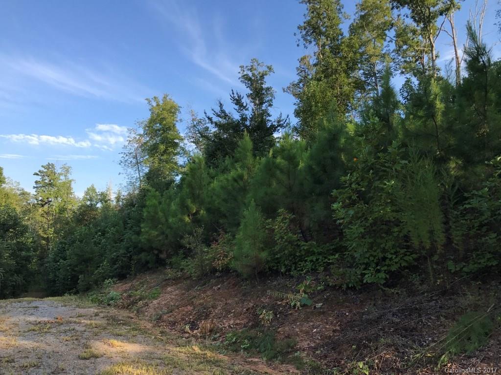 2915 Big Level Road, Unit 1 Mill Spring, NC 28756 - Photo 13 of 22