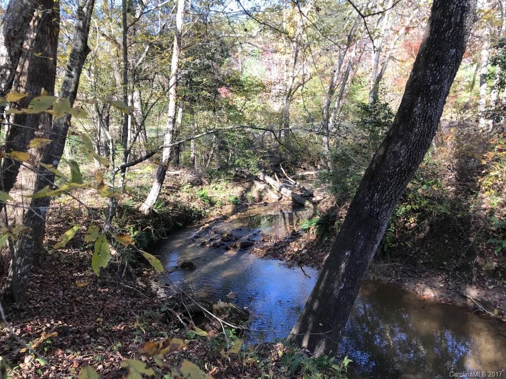 2915 Big Level Road, Unit 1 Mill Spring, NC 28756 - Photo 19 of 22