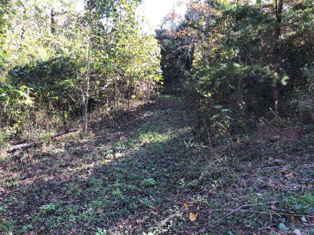 2915 Big Level Road, Unit 1 Mill Spring, NC 28756 - Photo 20 of 22