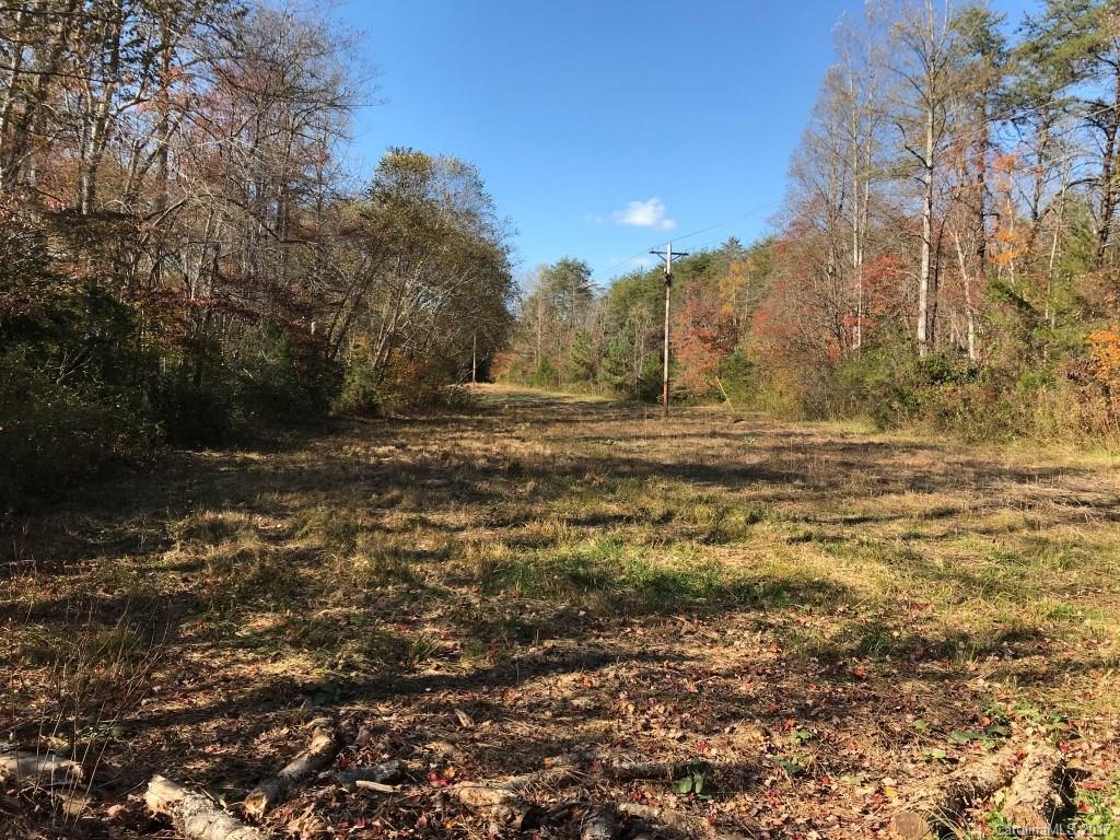 2915 Big Level Road, Unit 1 Mill Spring, NC 28756 - Photo 21 of 22