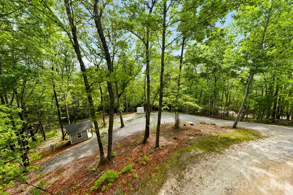 a view of a forest with trees