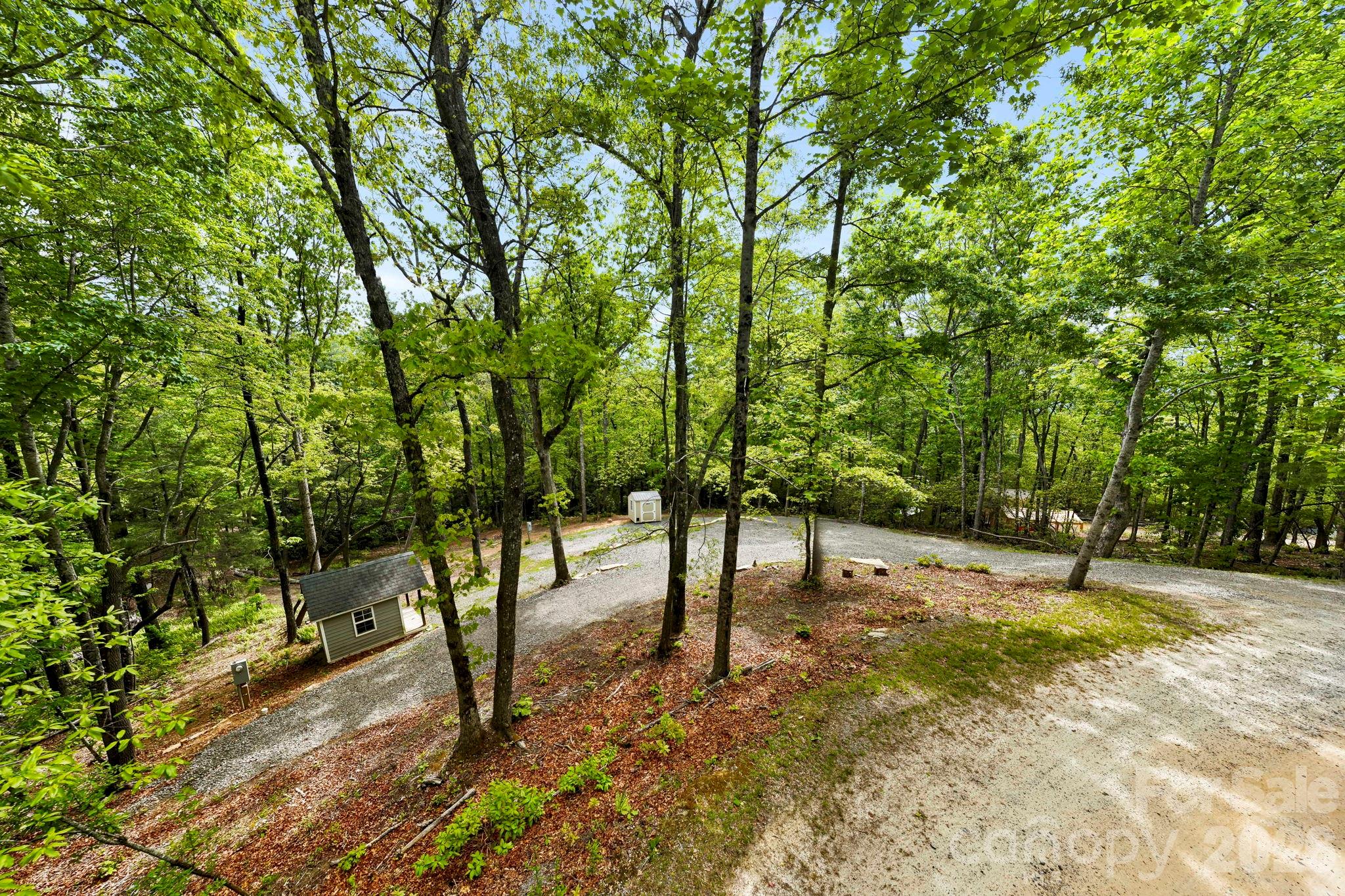 137 Bird Song Road, Unit 3 Penrose, NC 28766 - Photo 1 of 23 a view of a forest with trees