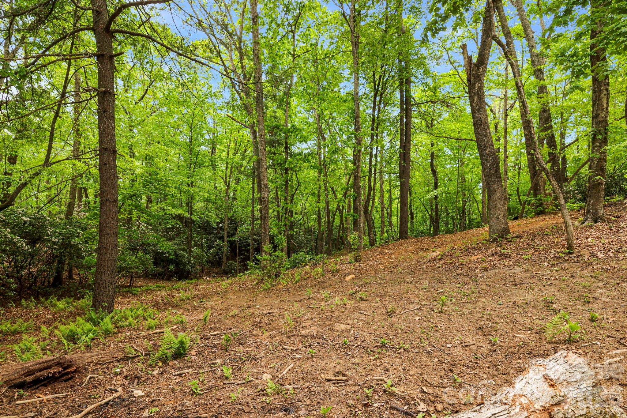 137 Bird Song Road, Unit 3 Penrose, NC 28766 - Photo 11 of 23 a view of a yard with plants and trees