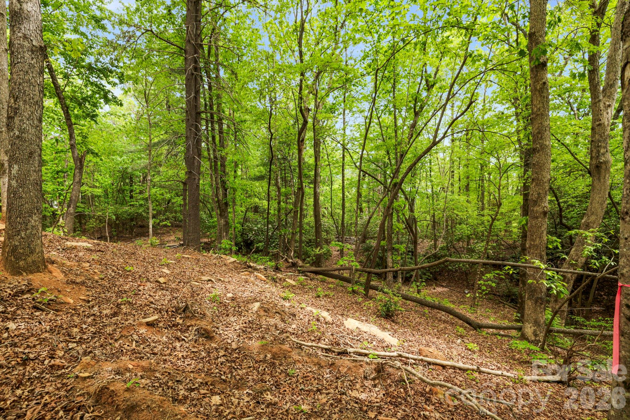 137 Bird Song Road, Unit 3 Penrose, NC 28766 - Photo 12 of 23 a backyard of a house with lots of green space