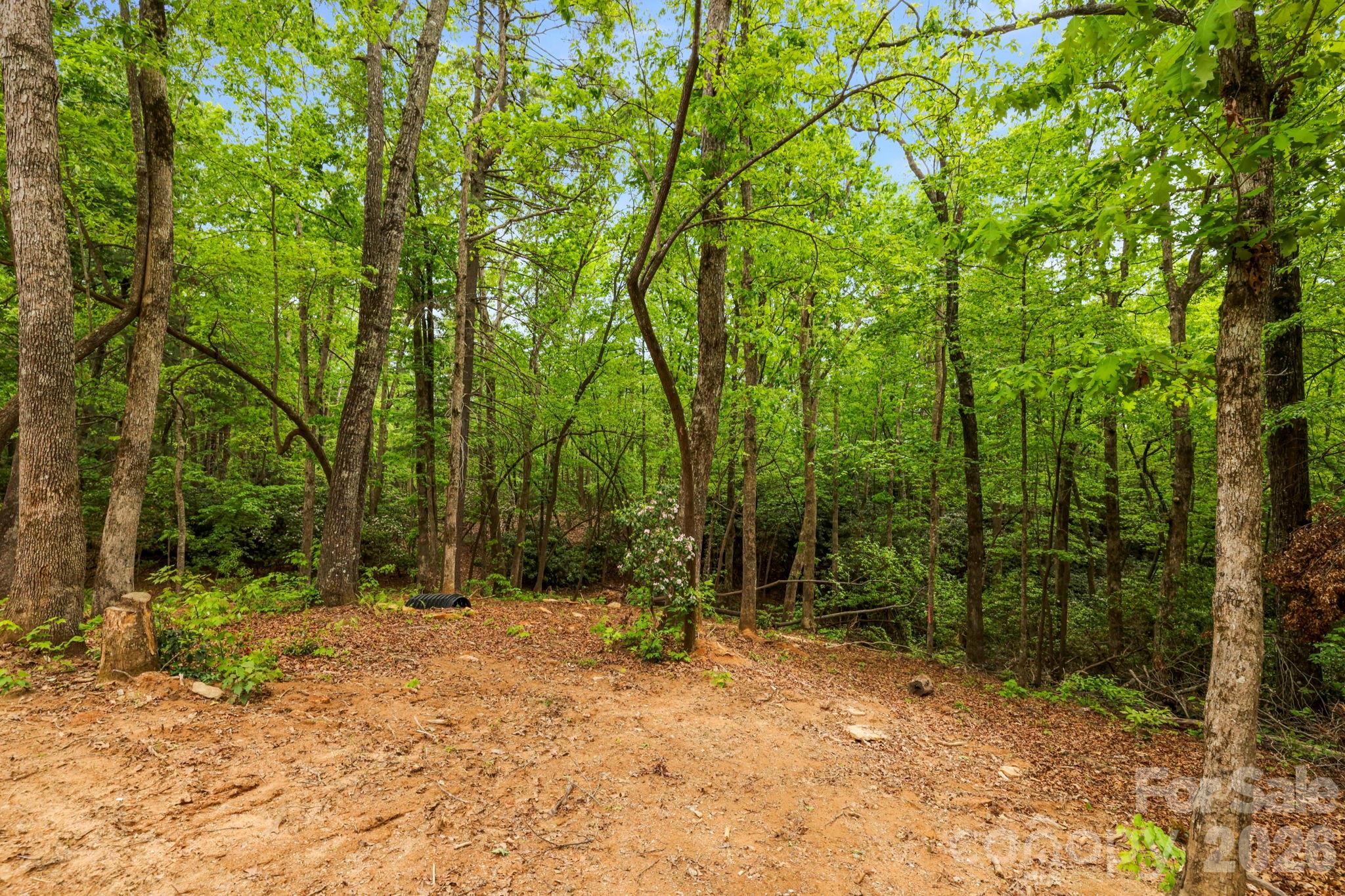 137 Bird Song Road, Unit 3 Penrose, NC 28766 - Photo 13 of 23 a view of backyard with trees