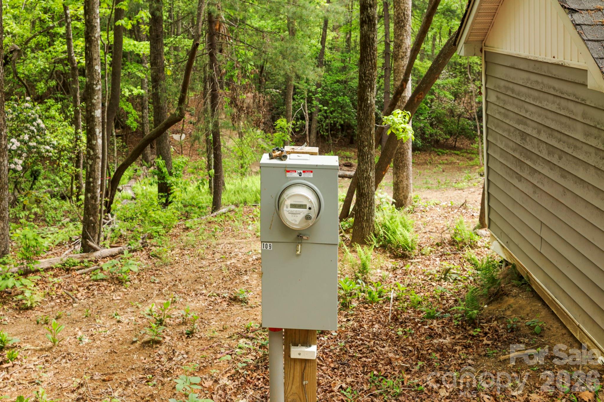 137 Bird Song Road, Unit 3 Penrose, NC 28766 - Photo 14 of 23 a view of a pathway of a yard with plants and large trees
