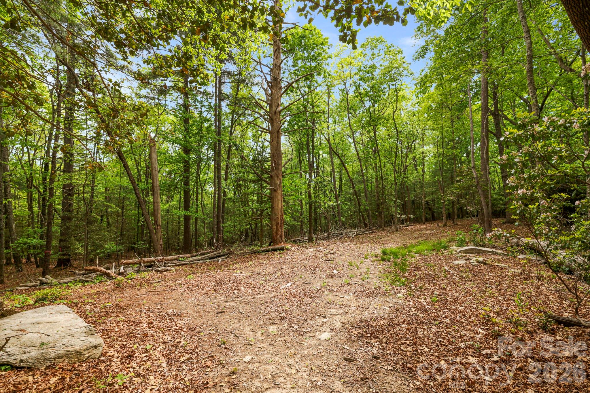 137 Bird Song Road, Unit 3 Penrose, NC 28766 - Photo 15 of 23 a view of outdoor space with trees