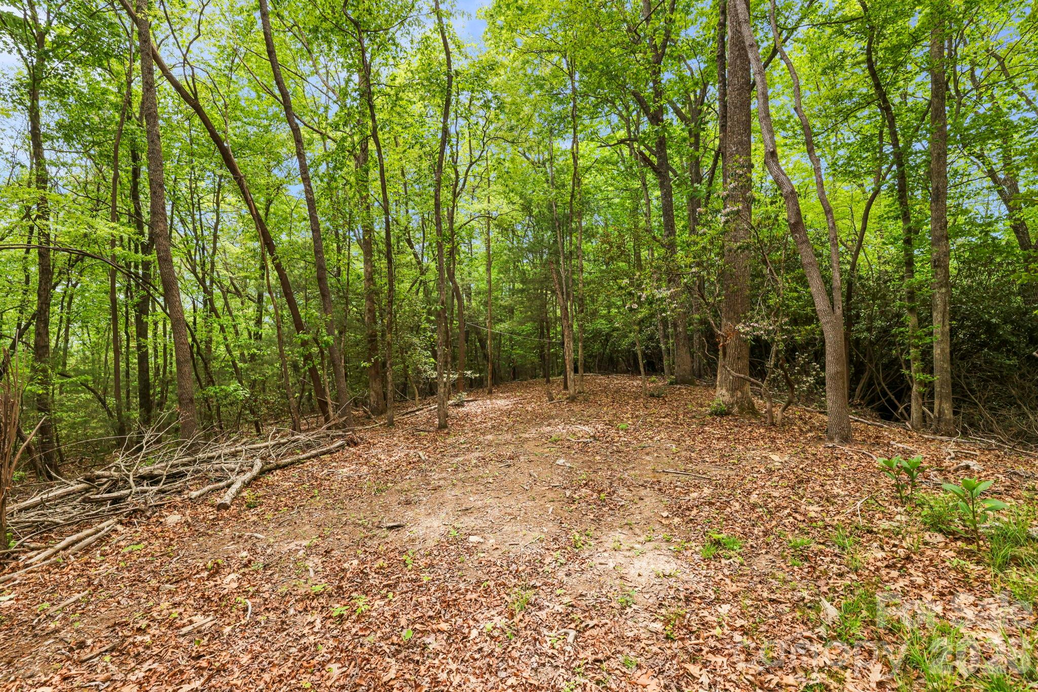 137 Bird Song Road, Unit 3 Penrose, NC 28766 - Photo 16 of 23 a view of backyard with green space