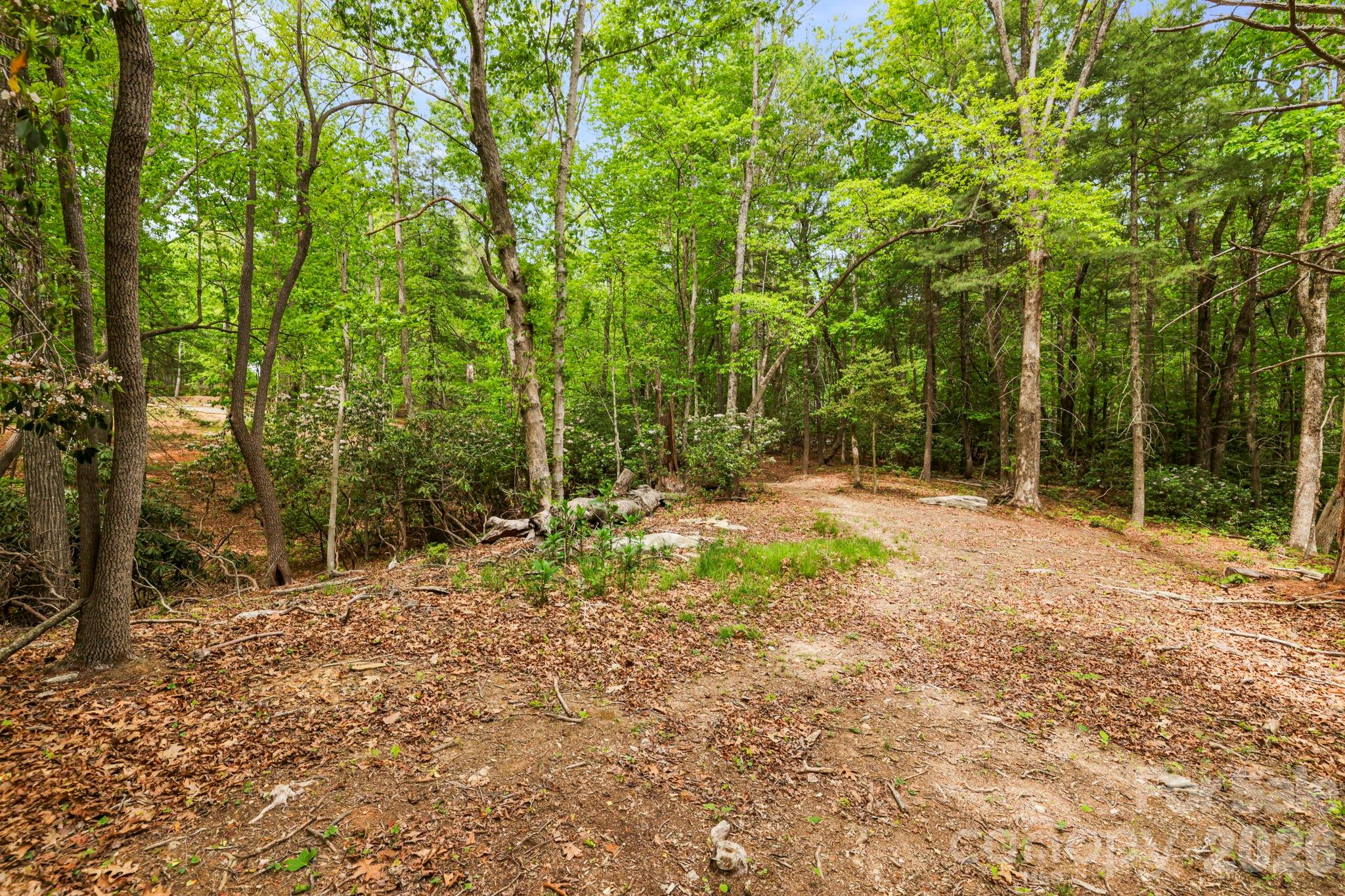137 Bird Song Road, Unit 3 Penrose, NC 28766 - Photo 17 of 23 a backyard of a house with large trees