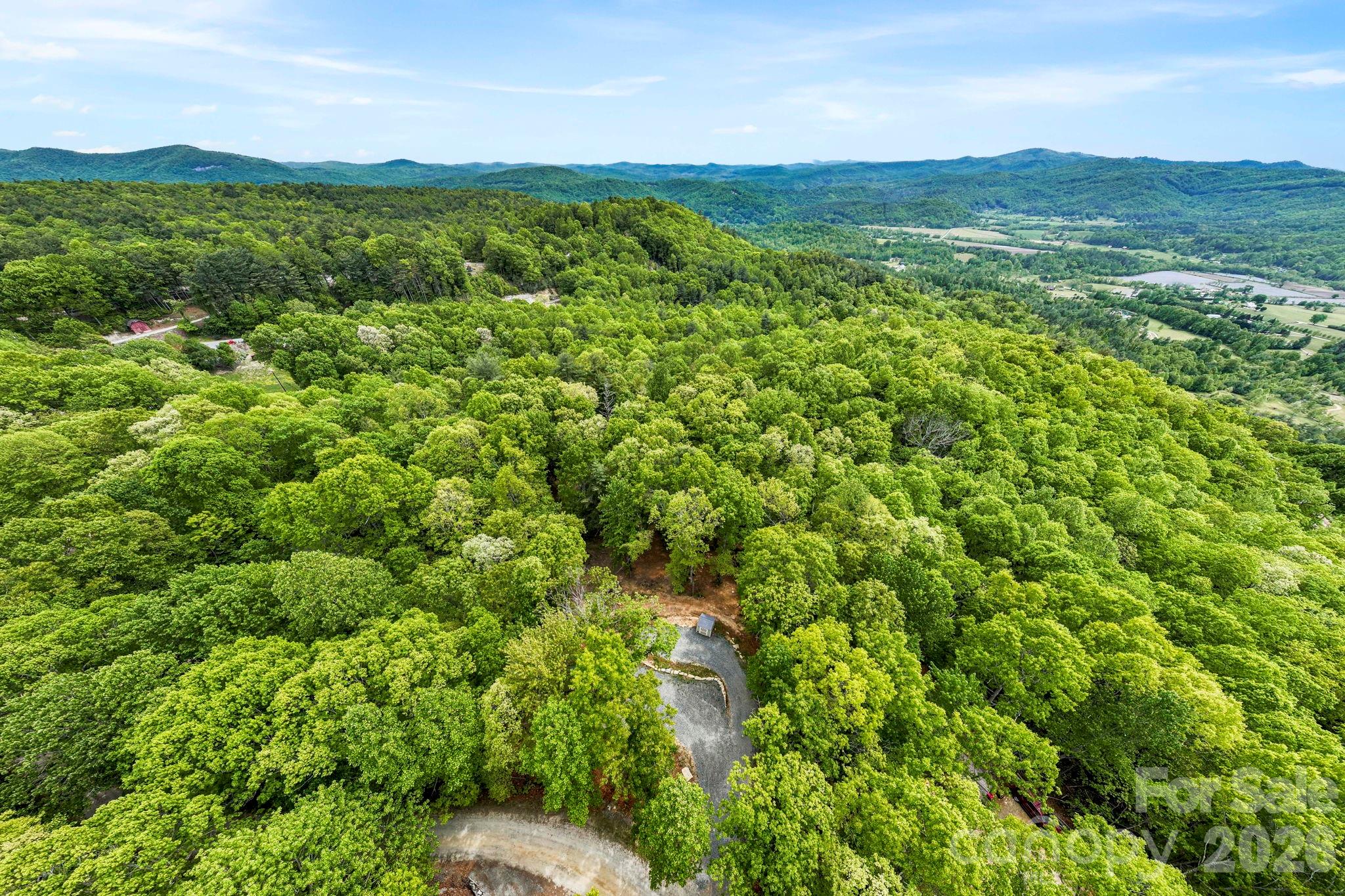 137 Bird Song Road, Unit 3 Penrose, NC 28766 - Photo 18 of 23 a view of a lush green outdoor space with a lake view