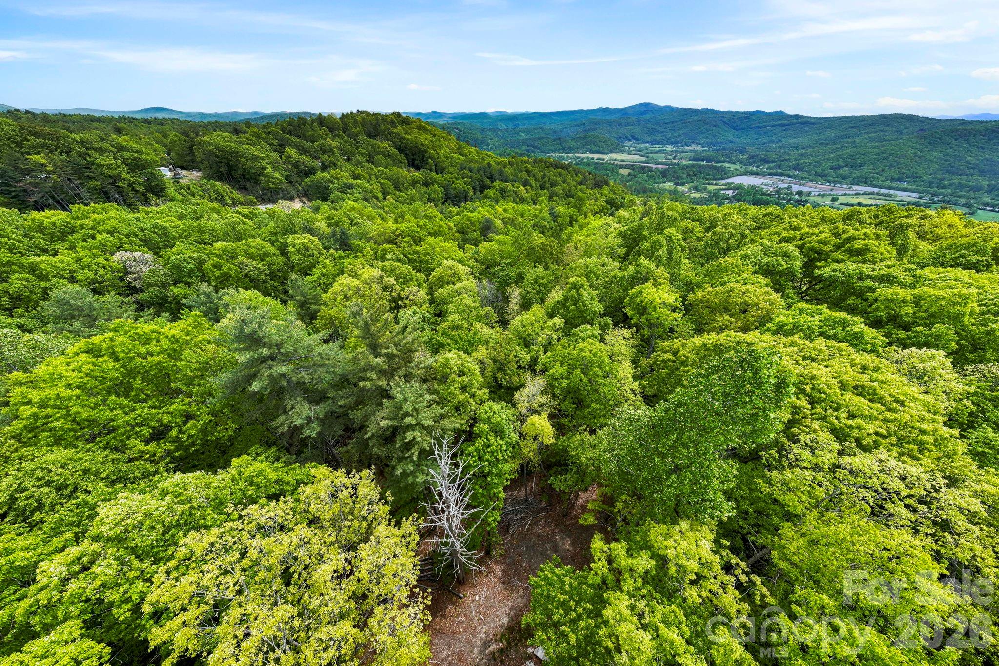 137 Bird Song Road, Unit 3 Penrose, NC 28766 - Photo 19 of 23 a view of a lush green field with lots of plants in it