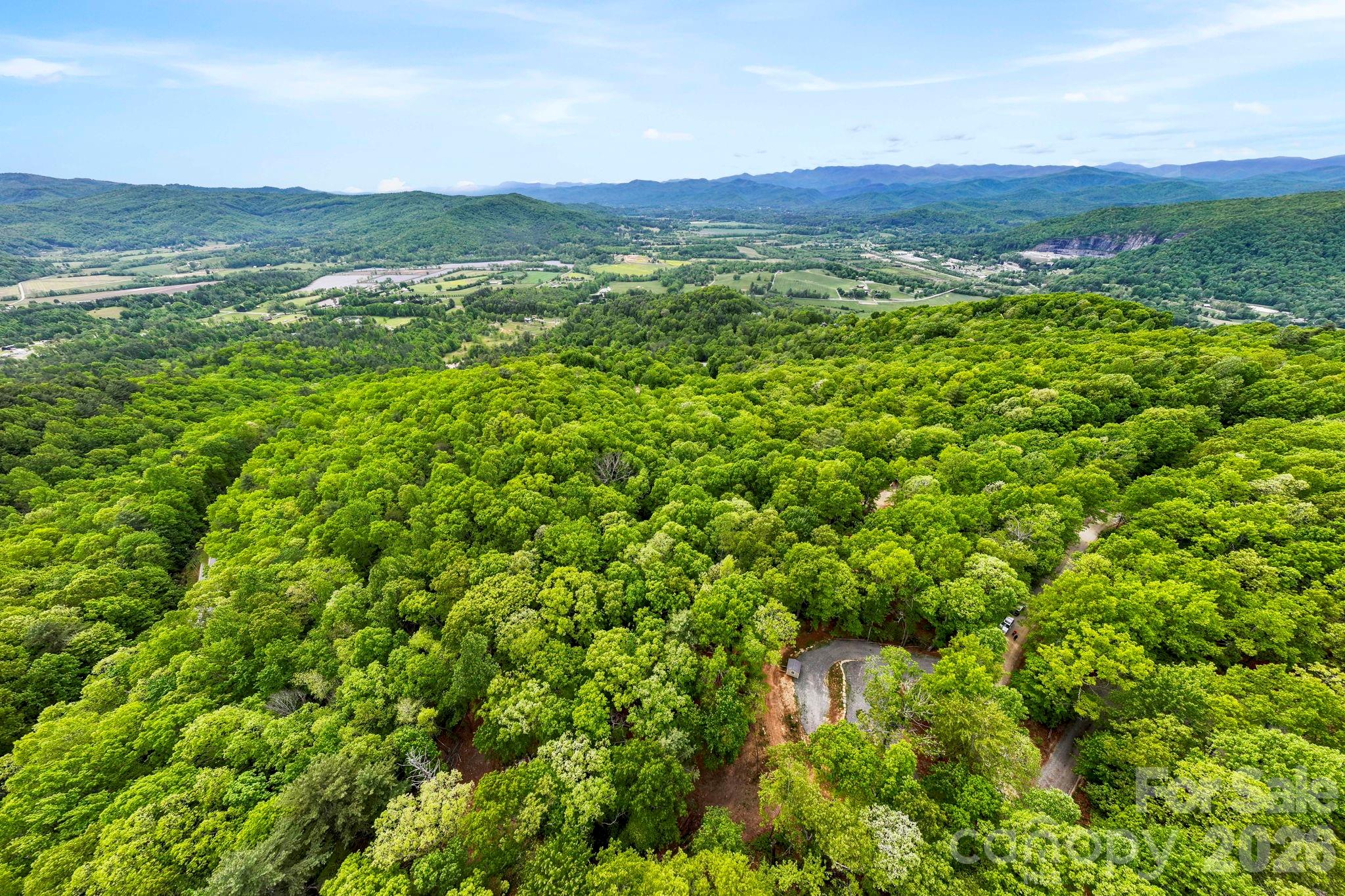 137 Bird Song Road, Unit 3 Penrose, NC 28766 - Photo 22 of 23 a view of a lush green field with lots of bushes
