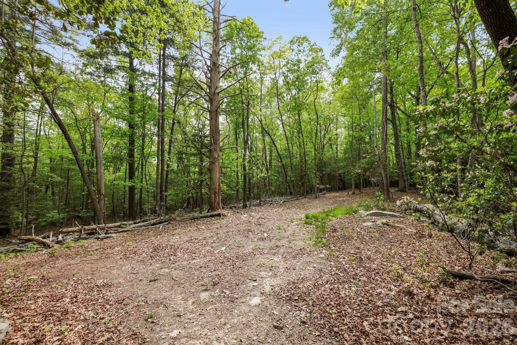 137 Bird Song Road, Unit 3 Penrose, NC 28766 - Photo 23 of 23 a backyard of a house with lots of green space