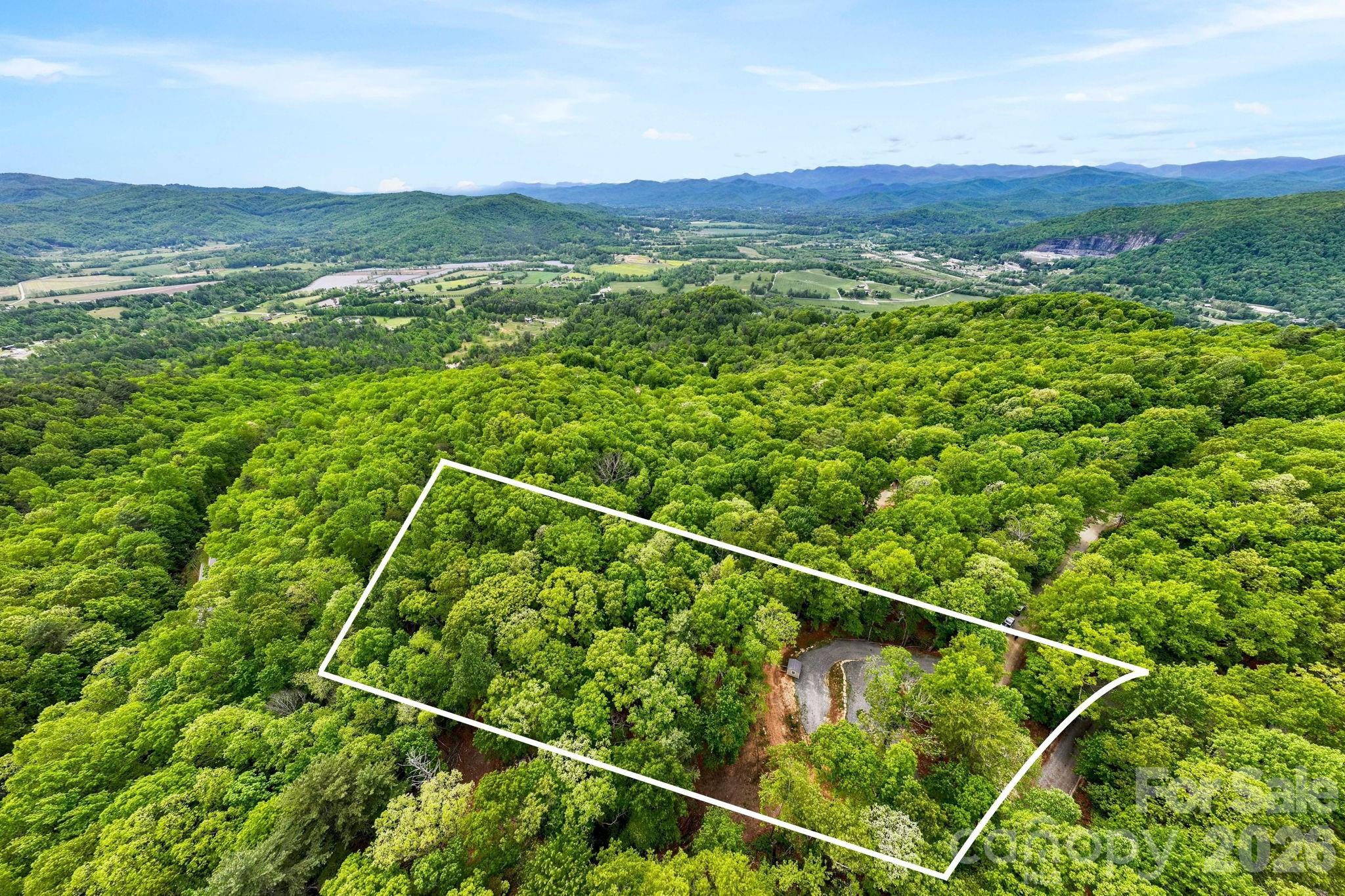 137 Bird Song Road, Unit 3 Penrose, NC 28766 - Photo 5 of 23 a view of a lush green forest with a mountain