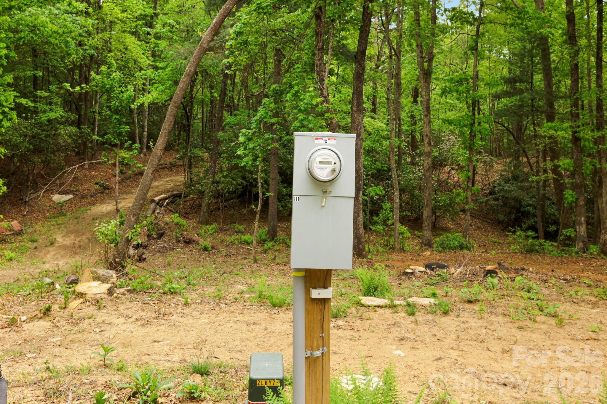 137 Bird Song Road, Unit 3 Penrose, NC 28766 - Photo 7 of 23 a pathway of a yard