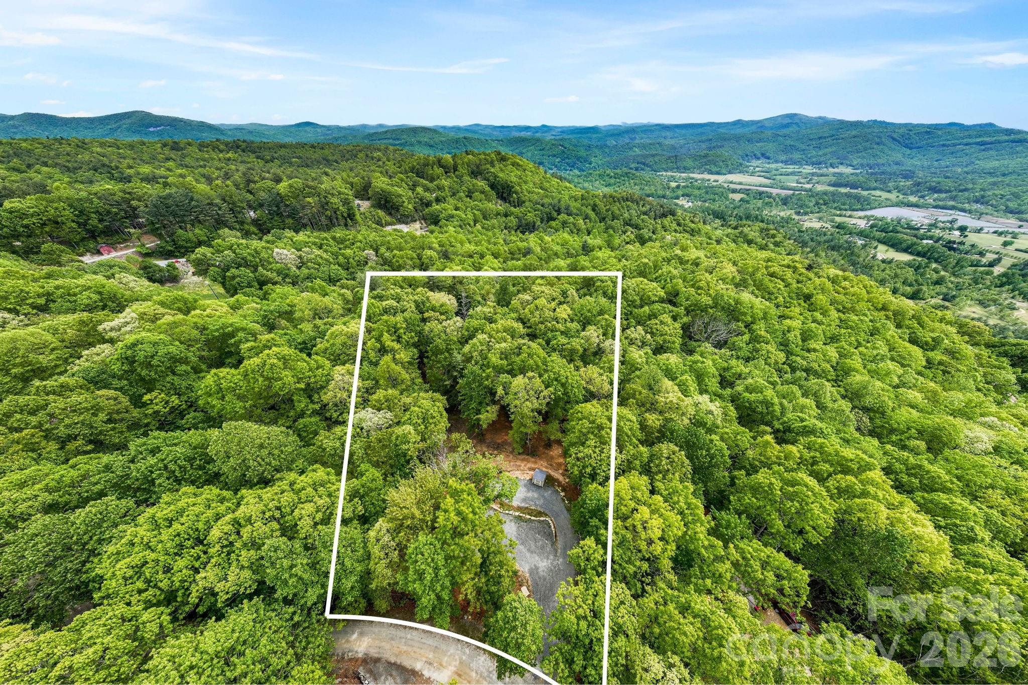 137 Bird Song Road, Unit 3 Penrose, NC 28766 - Photo 8 of 23 a view of a lush green forest with a houses