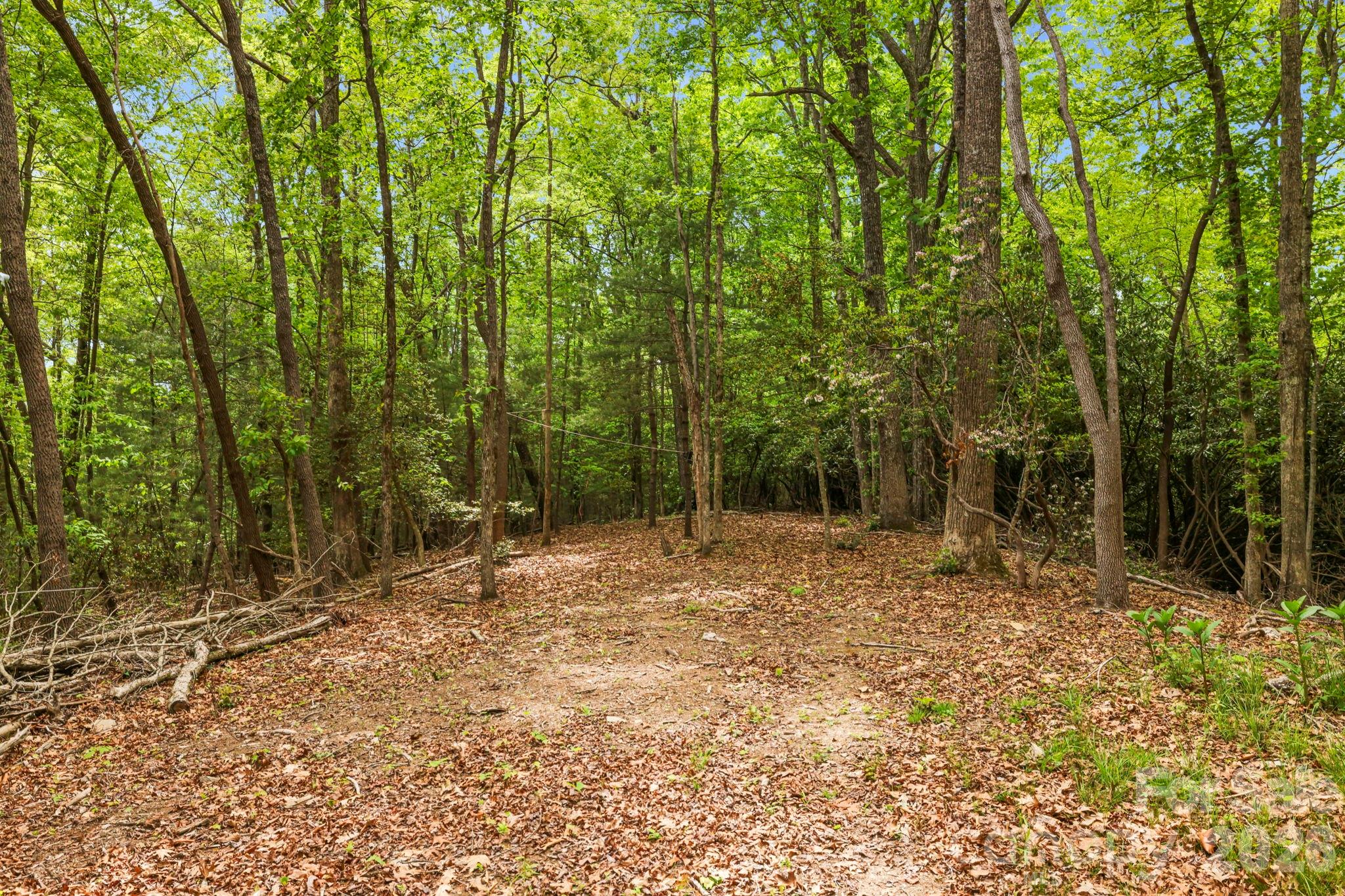 137 Bird Song Road, Unit 3 Penrose, NC 28766 - Photo 10 of 23 a view of outdoor space and trees