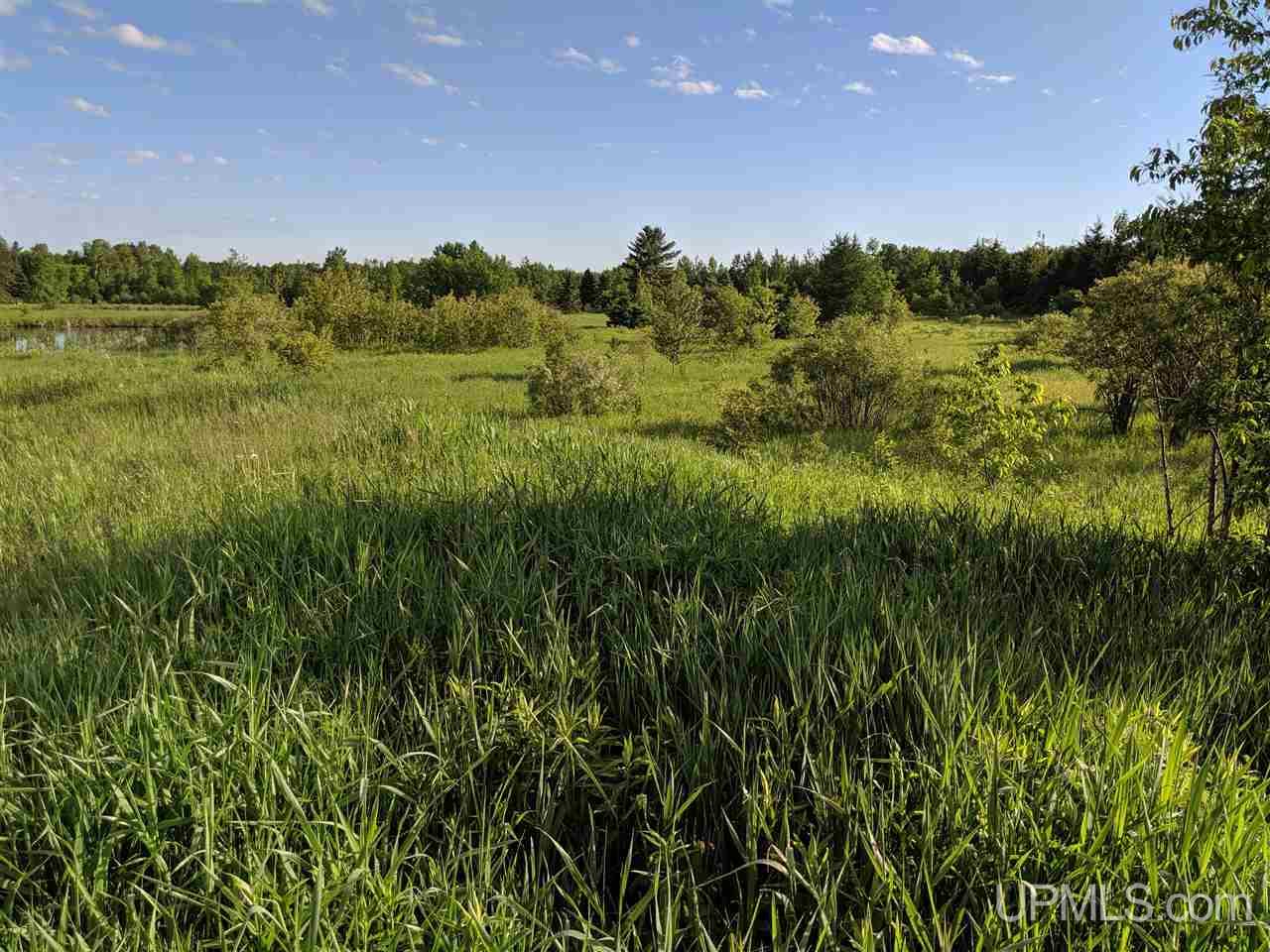Tbd Town Line Road Skandia, MI 49885 - Photo 5 of 14