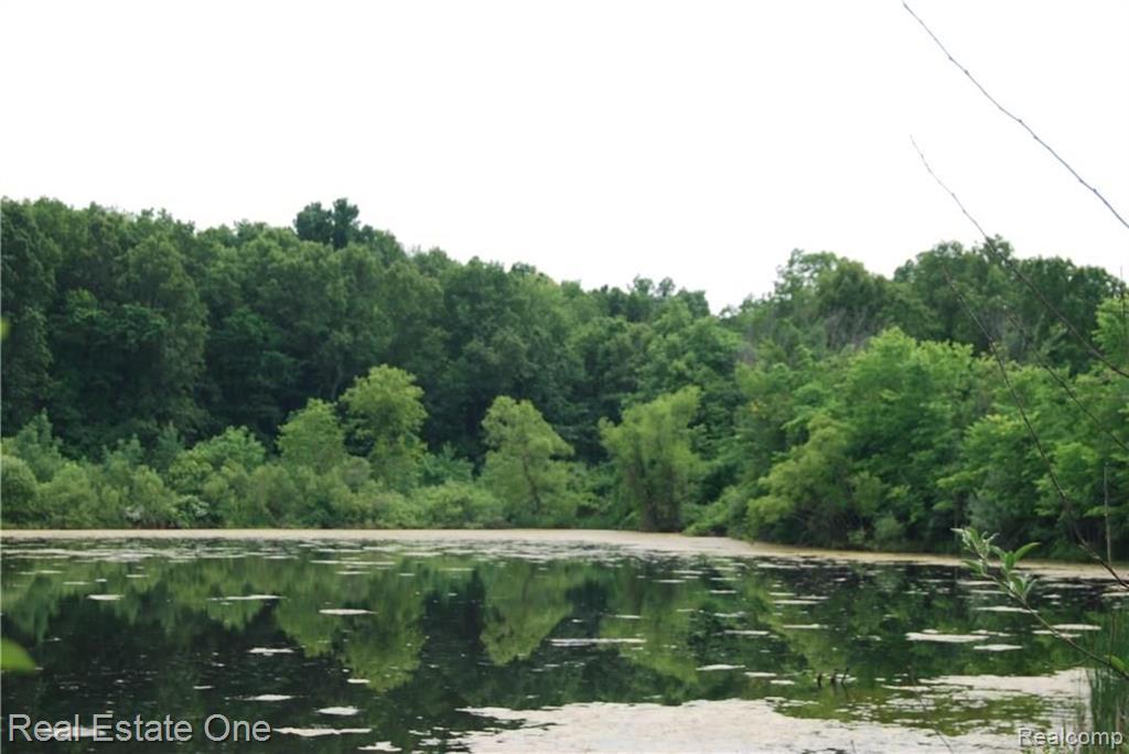 V/l Perry Lake Road Ortonville, MI 48462 - Photo 3 of 30 Gallery Image 3