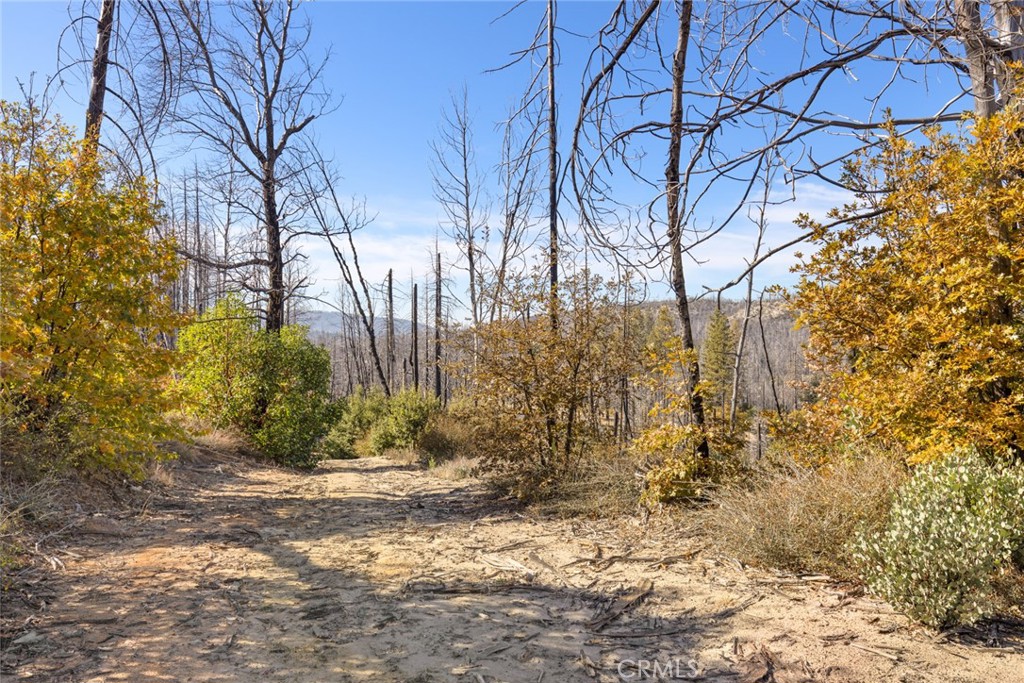 1809 Bald Rock Road Berry Creek, CA 95916 - Photo 15 of 37 a backyard of a house with lots of green space