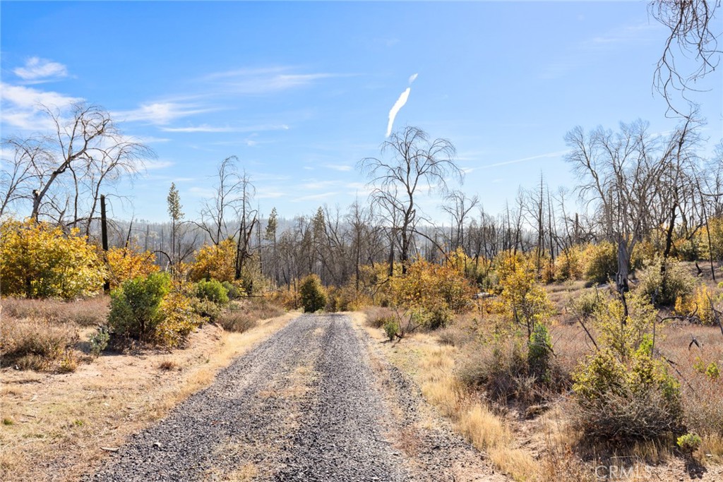 1809 Bald Rock Road Berry Creek, CA 95916 - Photo 22 of 37 a view of a yard covered with snow in the background