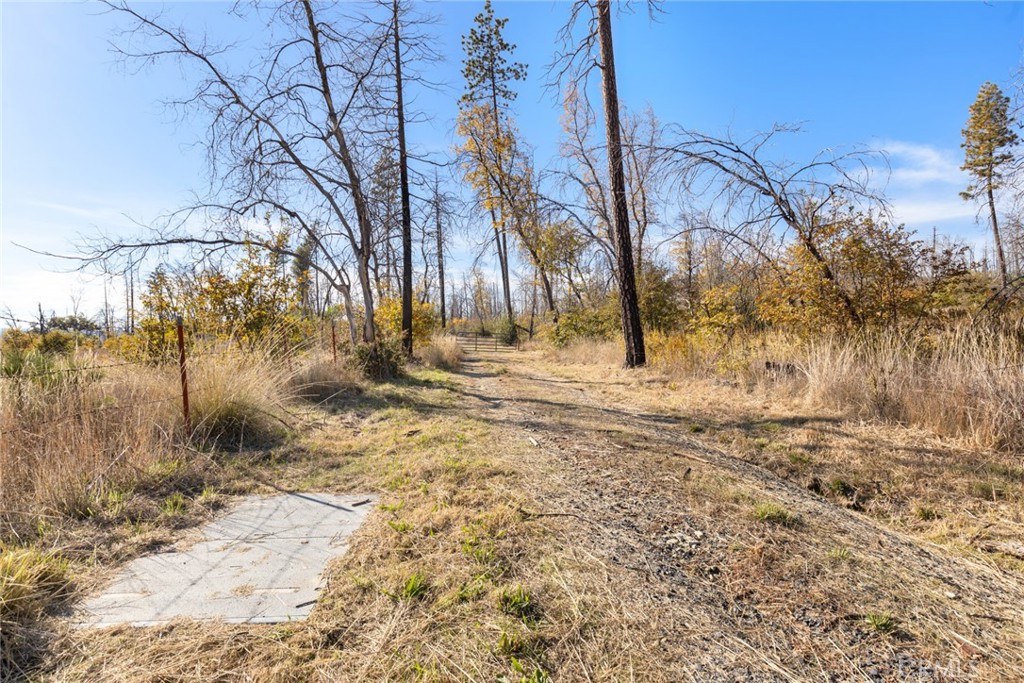 1809 Bald Rock Road Berry Creek, CA 95916 - Photo 25 of 37 a backyard of a house with large trees