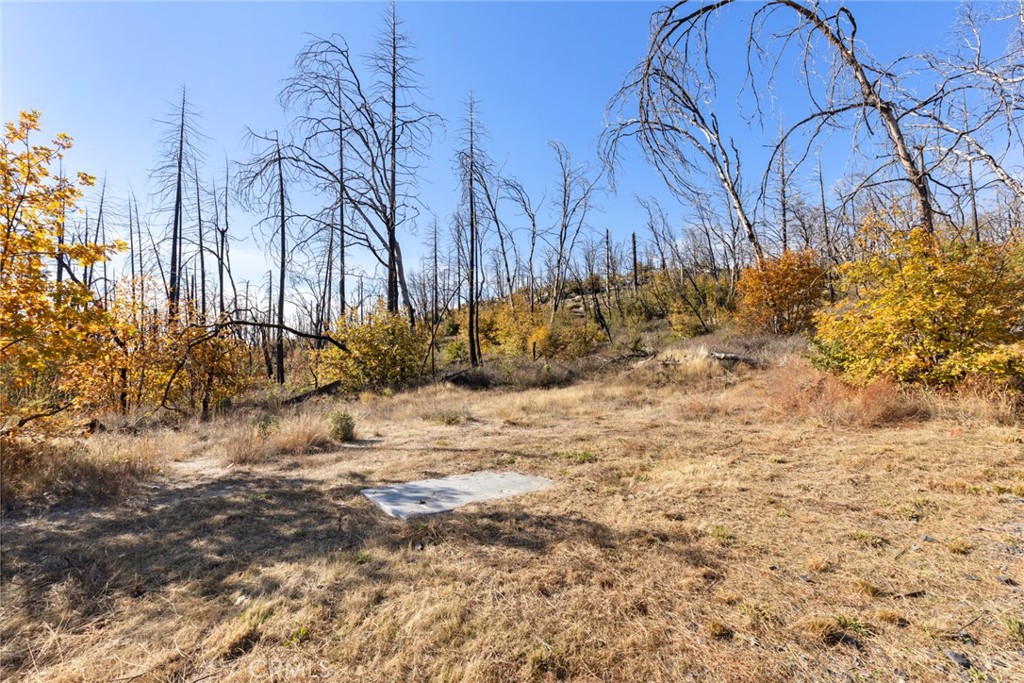 1809 Bald Rock Road Berry Creek, CA 95916 - Photo 27 of 37 a view of a yard with wooden fence