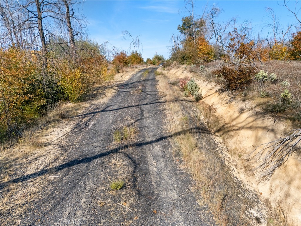 1809 Bald Rock Road Berry Creek, CA 95916 - Photo 29 of 37 a view of a yard with a tree