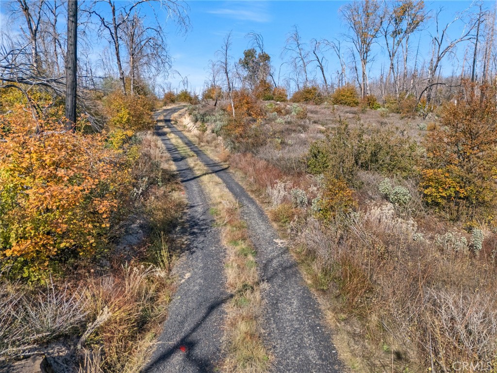 1809 Bald Rock Road Berry Creek, CA 95916 - Photo 30 of 37 a view of a yard with lots of bushes