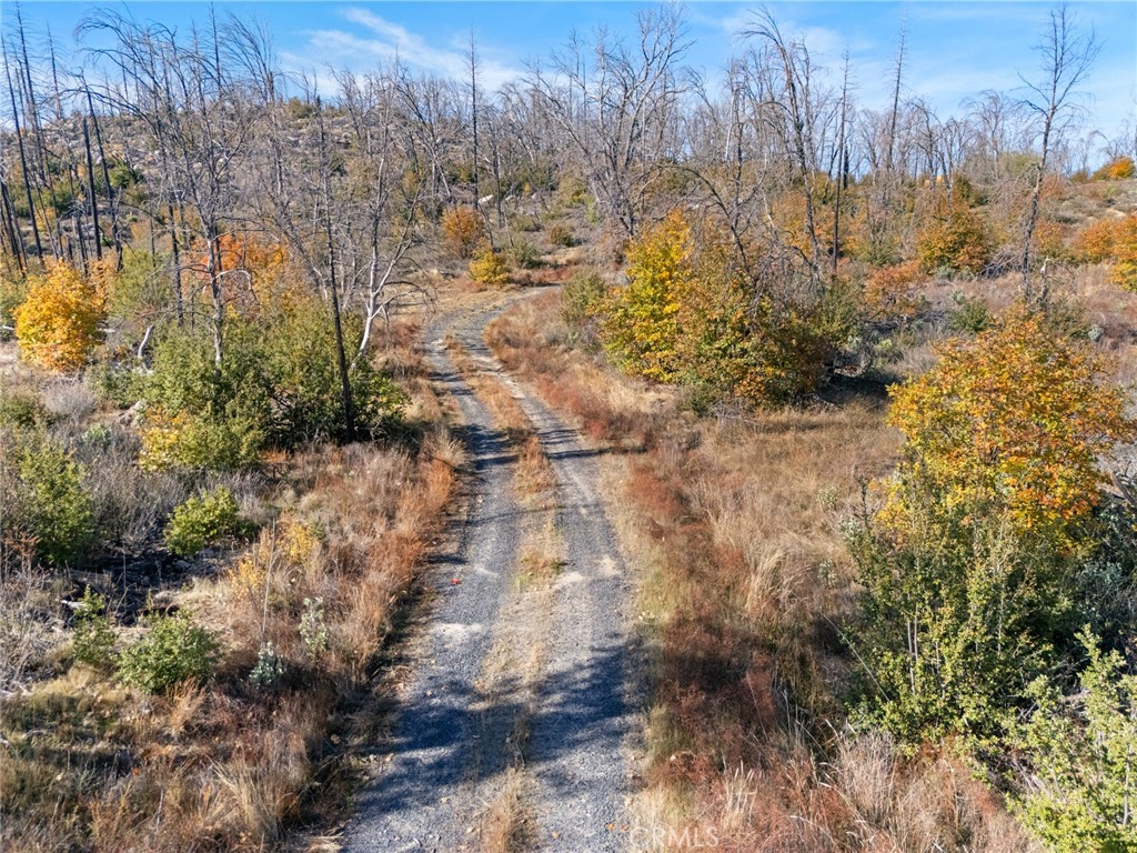 1809 Bald Rock Road Berry Creek, CA 95916 - Photo 31 of 37 a view of outdoor space and a yard