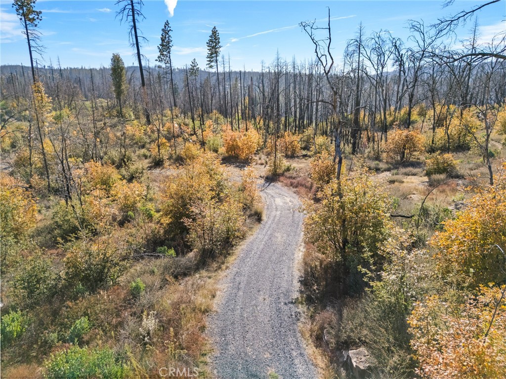 1809 Bald Rock Road Berry Creek, CA 95916 - Photo 32 of 37 a view of a yard with wooden fence
