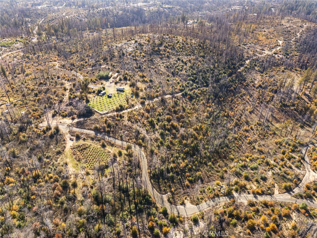 1809 Bald Rock Road Berry Creek, CA 95916 - Photo 34 of 37 a view of a yard
