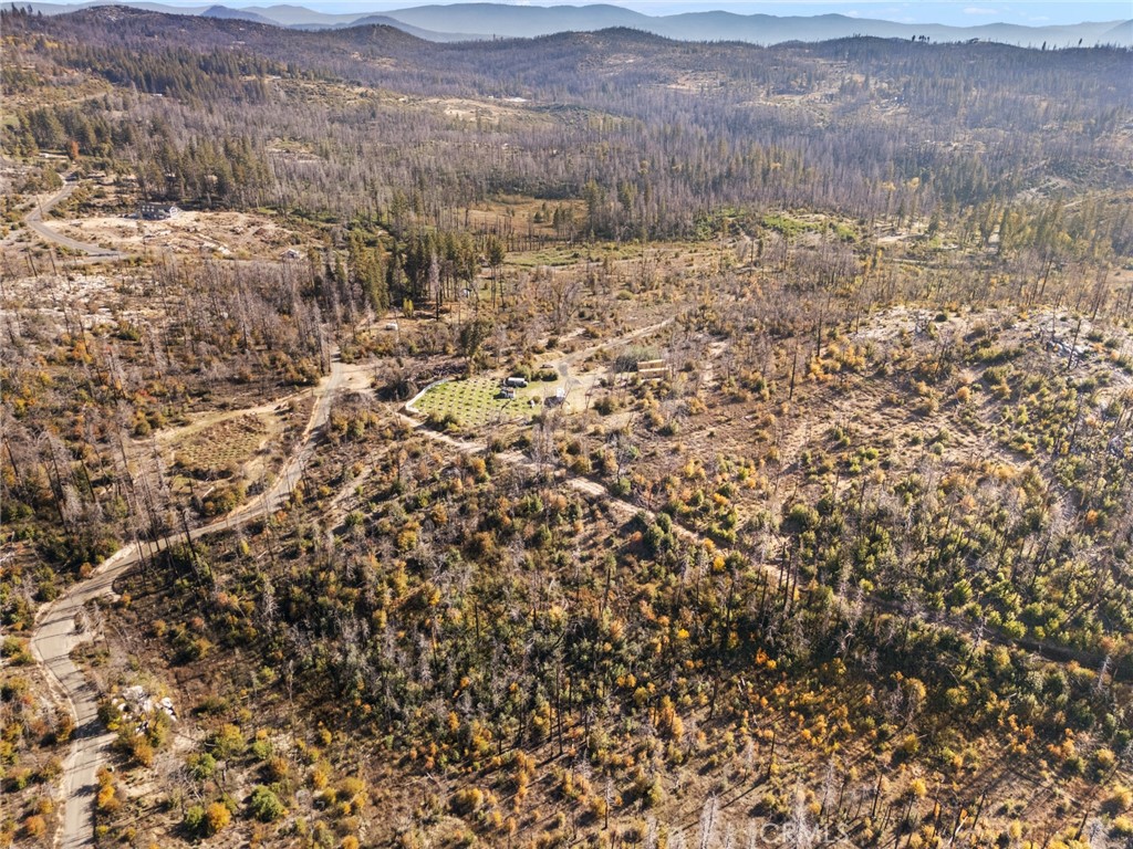 1809 Bald Rock Road Berry Creek, CA 95916 - Photo 35 of 37 a view of a dry yard with mountains and green space