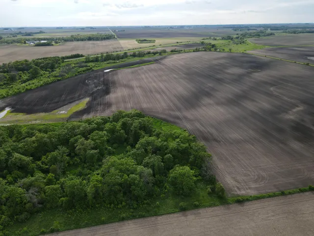 $1,099,000 | 56 Highway 56 Boulevard, Le Roy, MN 55951