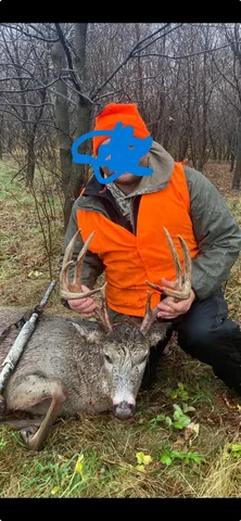 $1,099,000 | 56 Highway 56 Boulevard, Le Roy, MN 55951