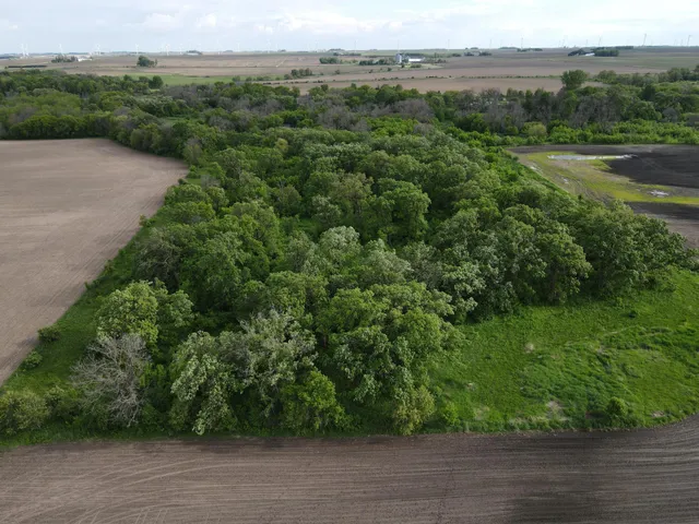 $1,099,000 | 56 Highway 56 Boulevard, Le Roy, MN 55951