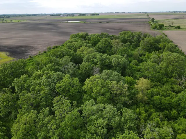 $1,099,000 | 56 Highway 56 Boulevard, Le Roy, MN 55951