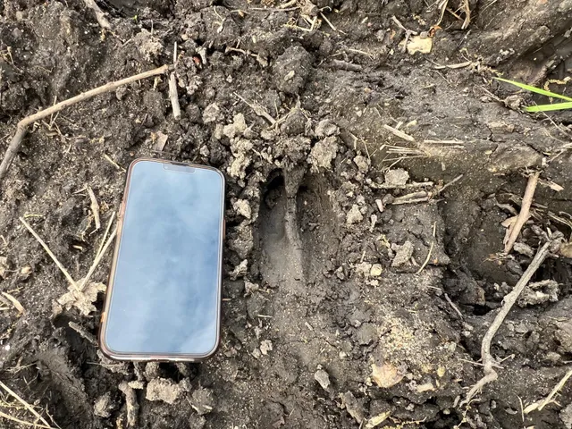 $1,099,000 | 56 Highway 56 Boulevard, Le Roy, MN 55951