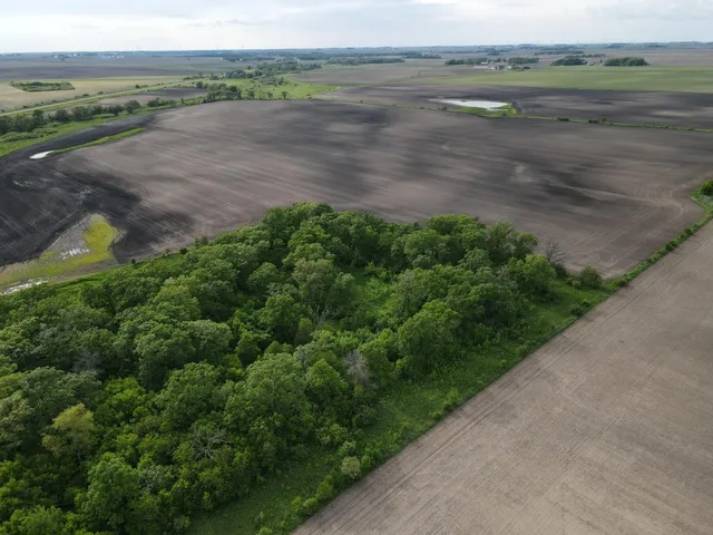 $1,099,000 | 56 Highway 56 Boulevard, Le Roy, MN 55951