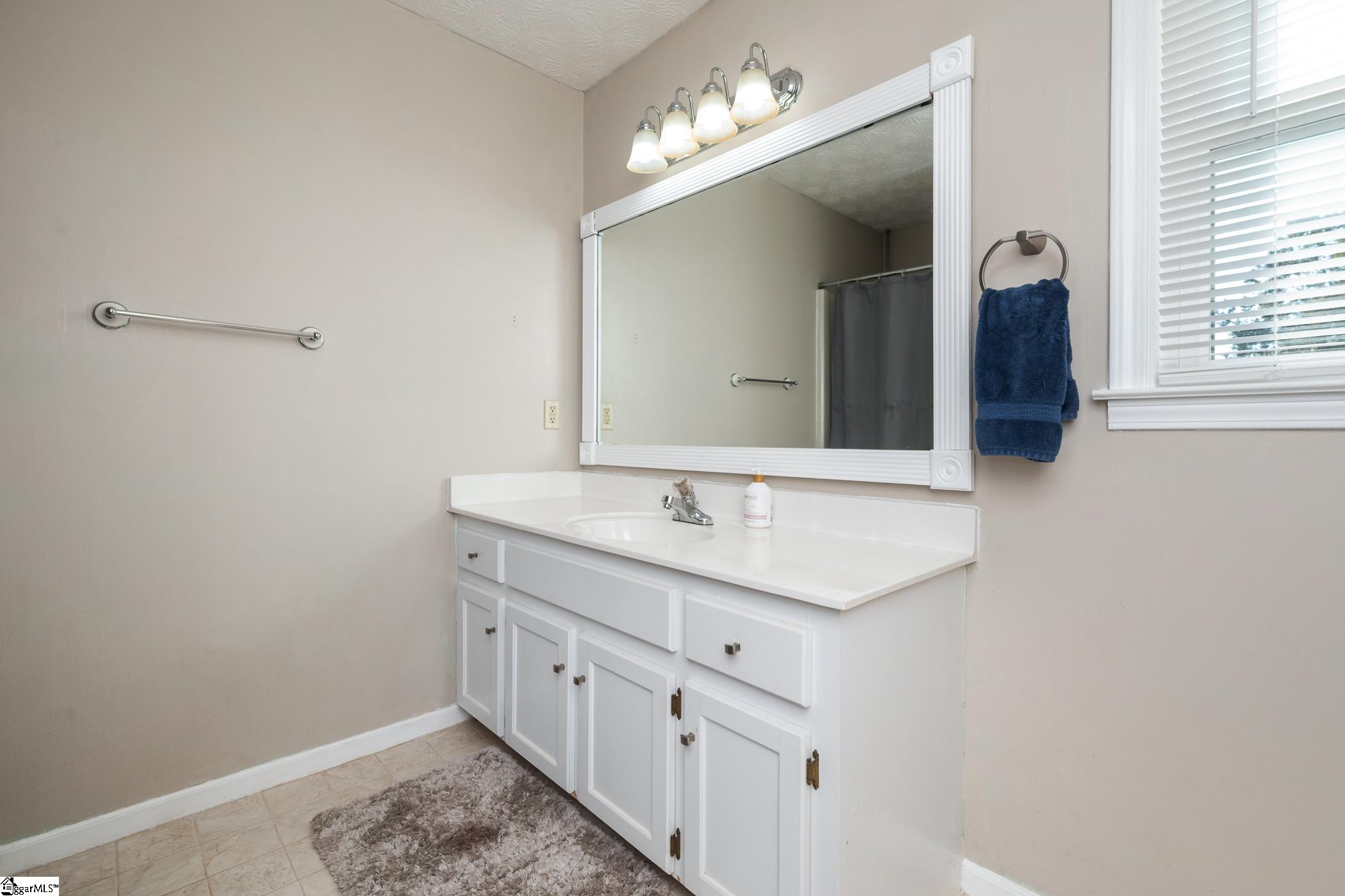 313 Shagbark Circle Simpsonville, SC 29680 - Photo 12 of 47