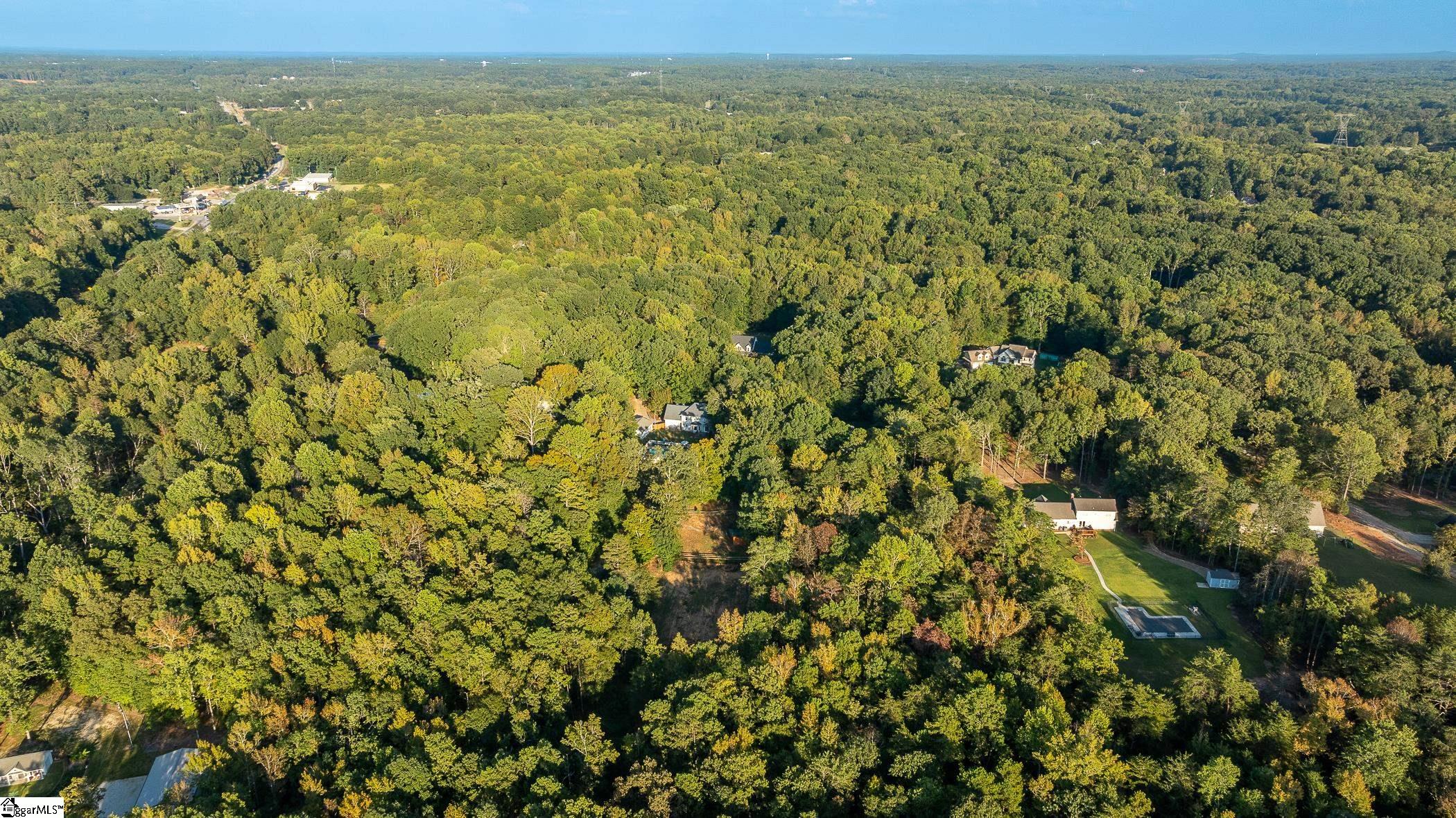 313 Shagbark Circle Simpsonville, SC 29680 - Photo 43 of 47