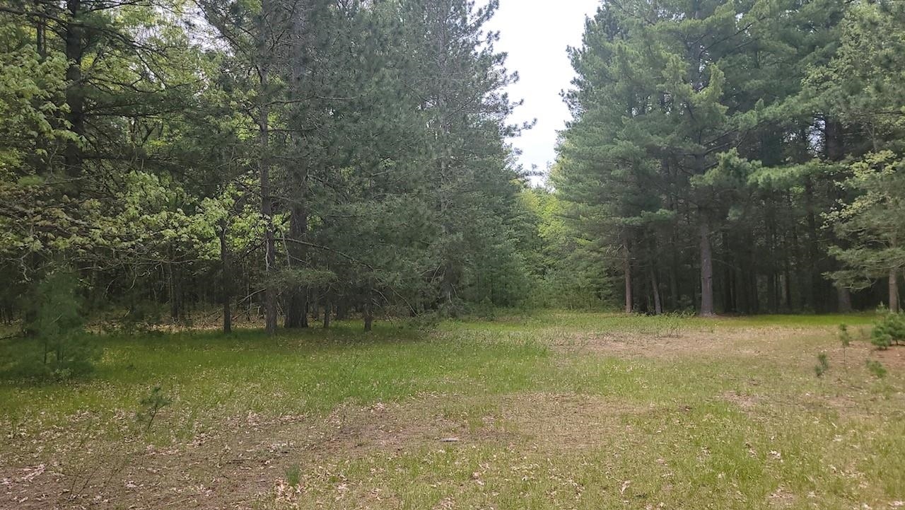 Xxx South Gladwin Road Prudenville, MI 48651 - Photo 5 of 10
