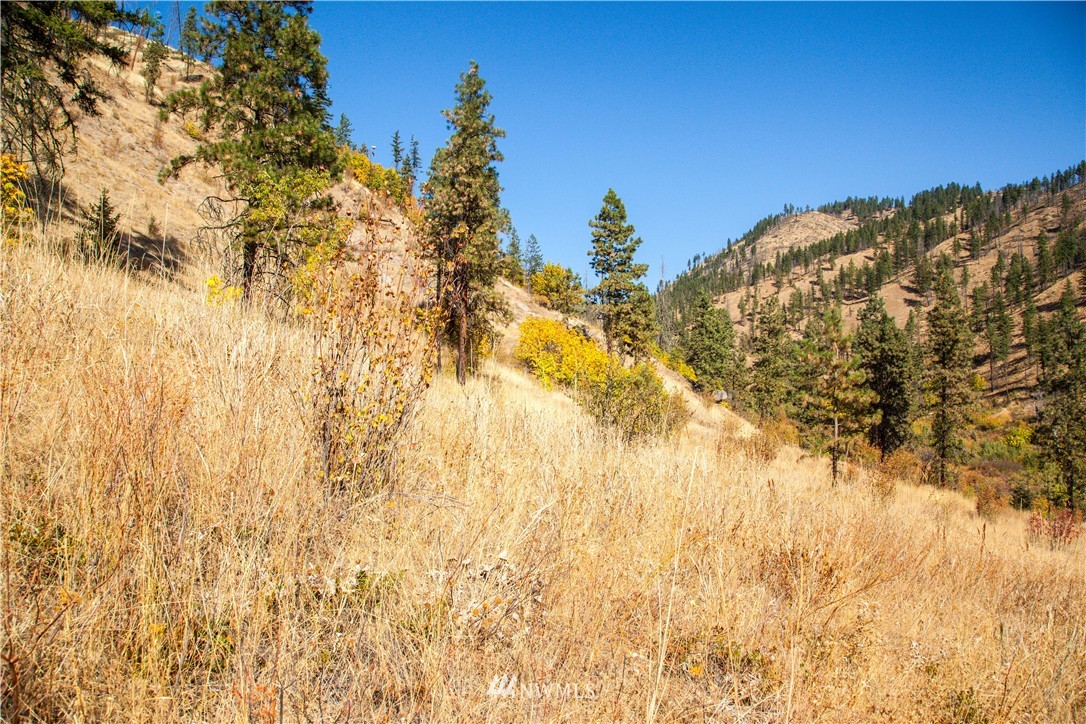 0 Olalla Canyon Road, Unit 3 Cashmere, WA 98815 - Photo 1 of 13 Gallery Image 1