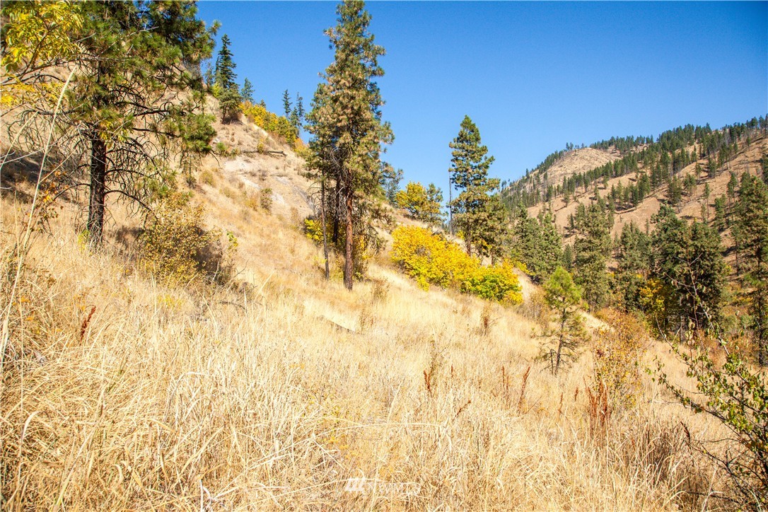 0 Olalla Canyon Road, Unit 3 Cashmere, WA 98815 - Photo 2 of 13 Gallery Image 2