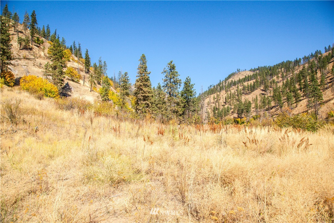0 Olalla Canyon Road, Unit 3 Cashmere, WA 98815 - Photo 11 of 13 Gallery Image 11