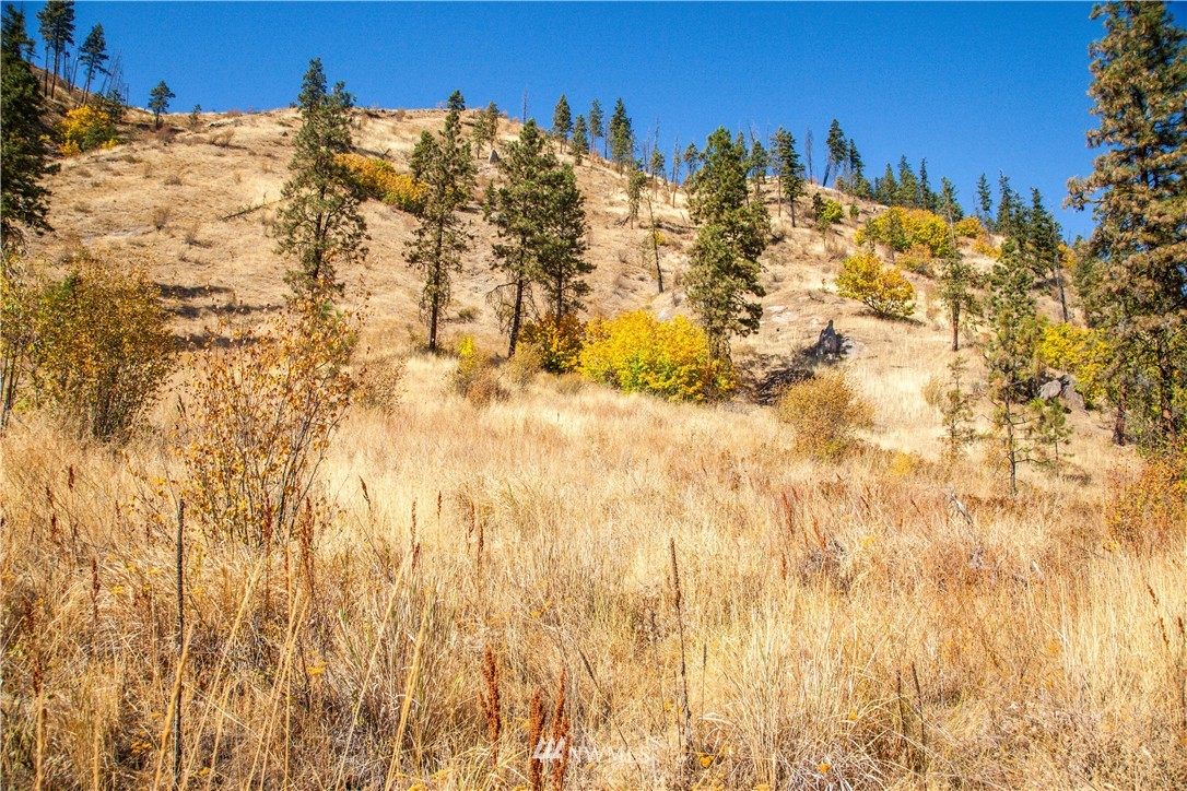0 Olalla Canyon Road, Unit 3 Cashmere, WA 98815 - Photo 12 of 13 Gallery Image 12