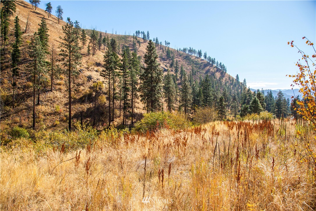 0 Olalla Canyon Road, Unit 3 Cashmere, WA 98815 - Photo 13 of 13 Gallery Image 13