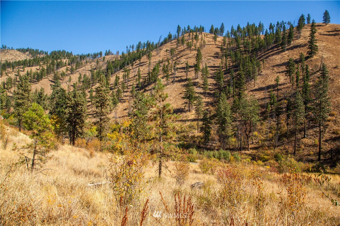 0 Olalla Canyon Road, Unit 3 Cashmere, WA 98815 - Photo 3 of 13 Gallery Image 3