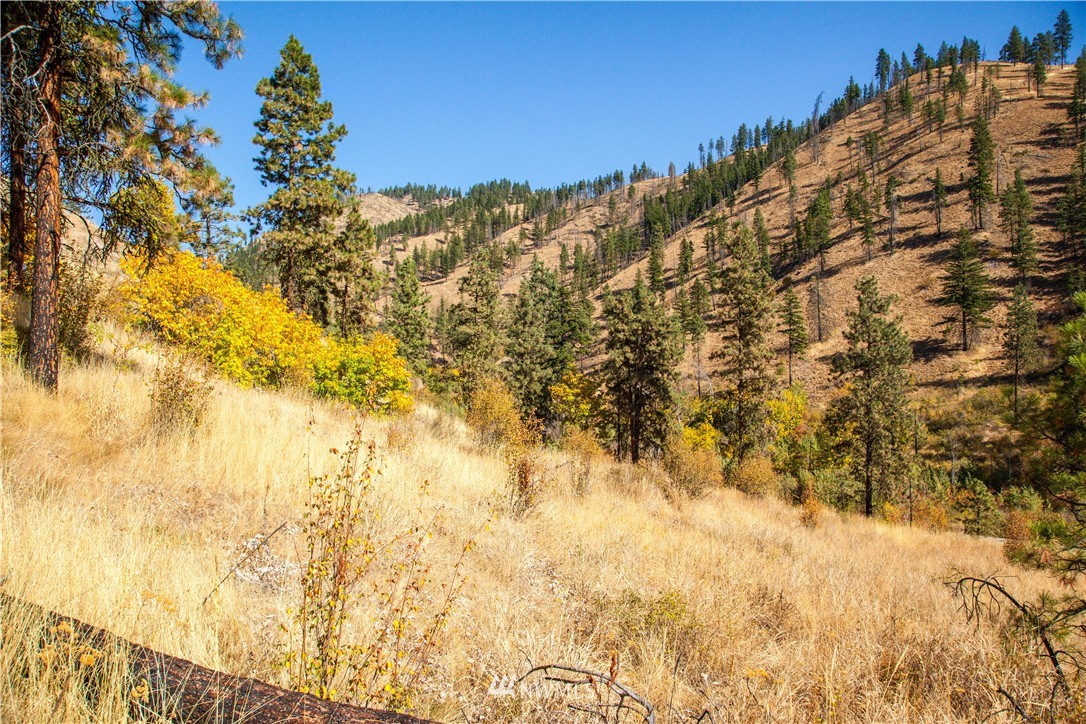 0 Olalla Canyon Road, Unit 3 Cashmere, WA 98815 - Photo 4 of 13 Gallery Image 4