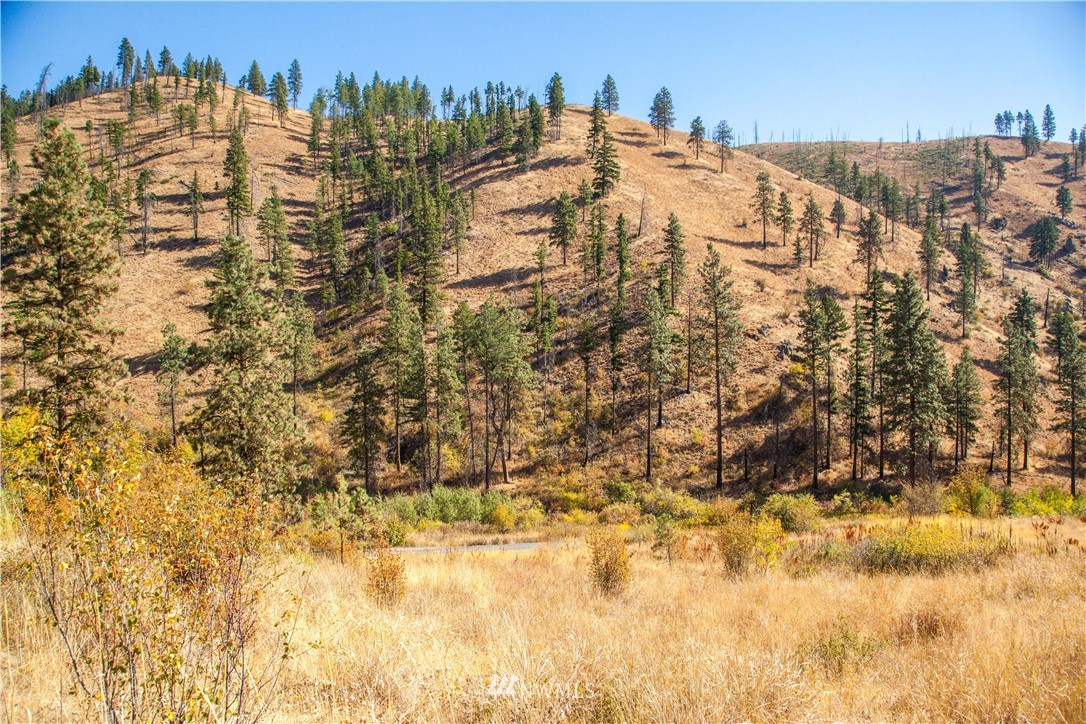 0 Olalla Canyon Road, Unit 3 Cashmere, WA 98815 - Photo 8 of 13 Gallery Image 8
